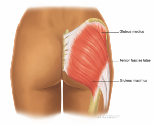 Non surgical buttocks augmentation